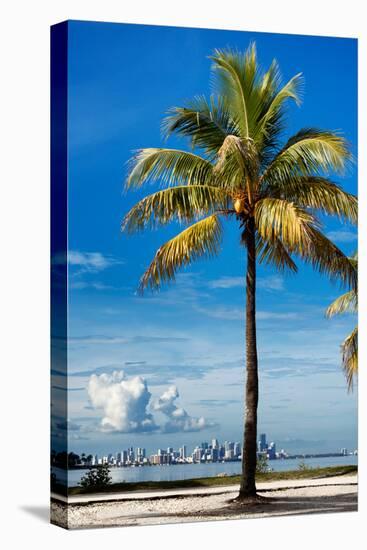 Palm Tree overlooking Downtown Miami - Florida-Philippe Hugonnard-Premier Image Canvas