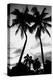 Palm Tree Silhouettes, Naples, Florida-null-Stretched Canvas