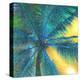 Palm Tree Sunset II-null-Stretched Canvas