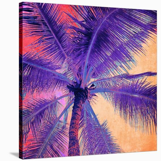 Palm Tree Sunset-null-Stretched Canvas