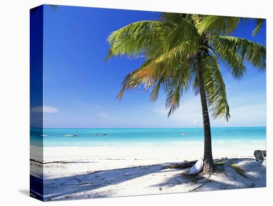 Palm Tree, White Sandy Beach and Indian Ocean, Jambiani, Island of Zanzibar, Tanzania, East Africa-Lee Frost-Premier Image Canvas