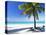 Palm Tree, White Sandy Beach and Indian Ocean, Jambiani, Island of Zanzibar, Tanzania, East Africa-Lee Frost-Premier Image Canvas