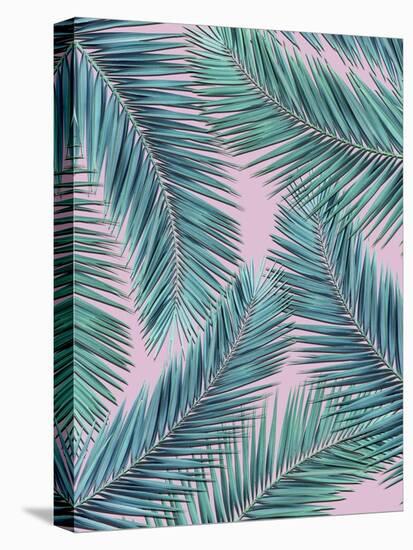 Palm-Tree-Mark Ashkenazi-Premier Image Canvas