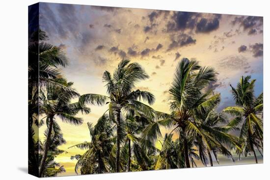 Palm trees along the coastal road, going into the mountains, Bali, Indonesia-Greg Johnston-Premier Image Canvas