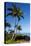 Palm Trees and Beach along the Southern Maui-Terry Eggers-Premier Image Canvas