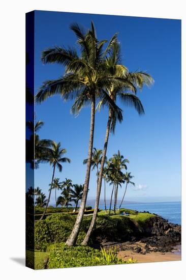 Palm Trees and Beach along the Southern Maui-Terry Eggers-Premier Image Canvas