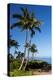 Palm Trees and Beach along the Southern Maui-Terry Eggers-Premier Image Canvas