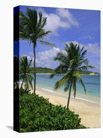 Palm Trees and Beach, Half Moon Bay, Antigua, Leeward Islands, Caribbean, West Indies-John Miller-Premier Image Canvas