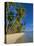 Palm Trees and Beach, Pigeon Point, Tobago, Trinidad and Tobago, West Indies-Gavin Hellier-Premier Image Canvas