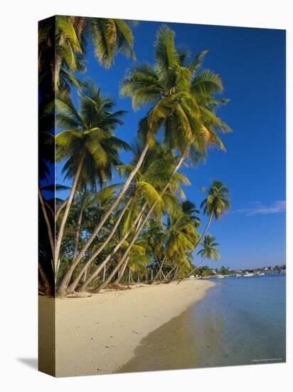 Palm Trees and Beach, Pigeon Point, Tobago, Trinidad and Tobago, West Indies-Gavin Hellier-Premier Image Canvas