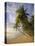 Palm Trees and Beach, Pigeon Point, Tobago, Trinidad and Tobago, West Indies-Gavin Hellier-Premier Image Canvas