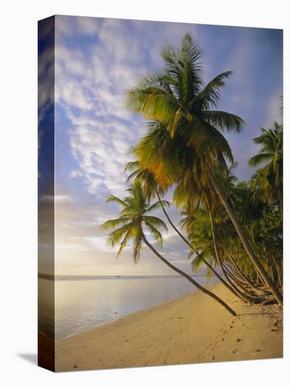 Palm Trees and Beach, Pigeon Point, Tobago, Trinidad and Tobago, West Indies-Gavin Hellier-Premier Image Canvas