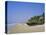 Palm Trees and Fishing Boats, Colva Beach, Goa, India-Jenny Pate-Premier Image Canvas