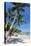 Palm Trees and Lamai Beach, Koh Samui, Thailand, Southeast Asia, Asia-Lee Frost-Premier Image Canvas