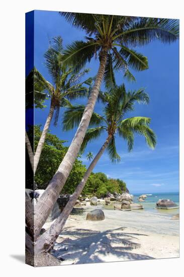 Palm Trees and Lamai Beach, Koh Samui, Thailand, Southeast Asia, Asia-Lee Frost-Premier Image Canvas
