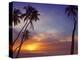 Palm Trees and Ocean at Sunset, Maldives, Indian Ocean, Asia&No.10;-Sakis Papadopoulos-Premier Image Canvas