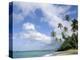 Palm Trees and Sea, Lalomanu Beach, Upolu Island, Western Samoa-Upperhall-Premier Image Canvas