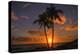 Palm Trees and Setting Sun, Kauai Hawaii-Vincent James-Premier Image Canvas