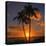 Palm Trees and Setting Sun (Square), Kauai Hawaii-Vincent James-Premier Image Canvas