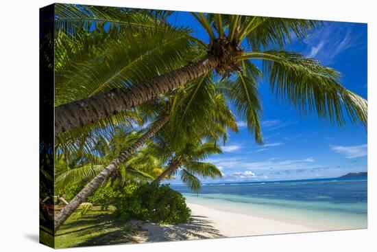 Palm Trees and Tropical Beach, La Digue, Seychelles-Jon Arnold-Premier Image Canvas