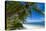 Palm Trees and Tropical Beach, La Digue, Seychelles-Jon Arnold-Premier Image Canvas