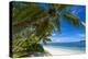 Palm Trees and Tropical Beach, La Digue, Seychelles-Jon Arnold-Premier Image Canvas