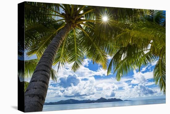 Palm Trees and Tropical Beach, La Digue, Seychelles-Jon Arnold-Premier Image Canvas