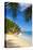 Palm Trees and Tropical Beach, La Digue, Seychelles-Jon Arnold-Premier Image Canvas