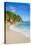 Palm Trees and Tropical Beach, La Digue, Seychelles-Jon Arnold-Premier Image Canvas