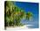 Palm Trees and Tropical Beach, Maldive Islands, Indian Ocean-Steve Vidler-Premier Image Canvas