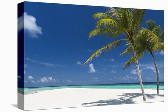 Palm Trees and Tropical Beach, Maldives, Indian Ocean, Asia-Sakis Papadopoulos-Premier Image Canvas