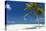 Palm Trees and Tropical Beach, Maldives, Indian Ocean, Asia-Sakis Papadopoulos-Premier Image Canvas