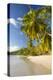 Palm Trees and Tropical Beach, Southern Mahe, Seychelles-Jon Arnold-Premier Image Canvas