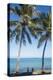 Palm trees, Anse Vata beach, Noumea, New Caledonia, Pacific-Michael Runkel-Premier Image Canvas