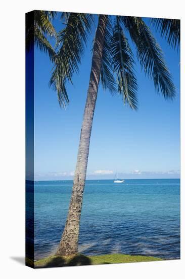 Palm trees, Anse Vata beach, Noumea, New Caledonia, Pacific-Michael Runkel-Premier Image Canvas