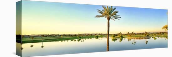 Palm trees around lake on golf course, Sun City, Phoenix, Arizona, USA-Panoramic Images-Premier Image Canvas