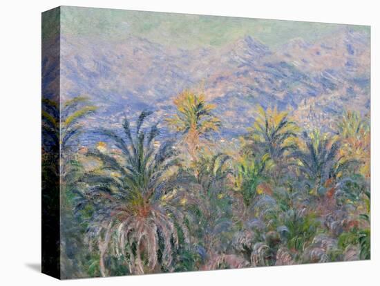 Palm Trees at Bordighera, 1884-Claude Monet-Premier Image Canvas