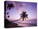 Palm Trees at Sunset, Coconut Grove Beach at Cade's Bay, Nevis, Caribbean-Greg Johnston-Premier Image Canvas