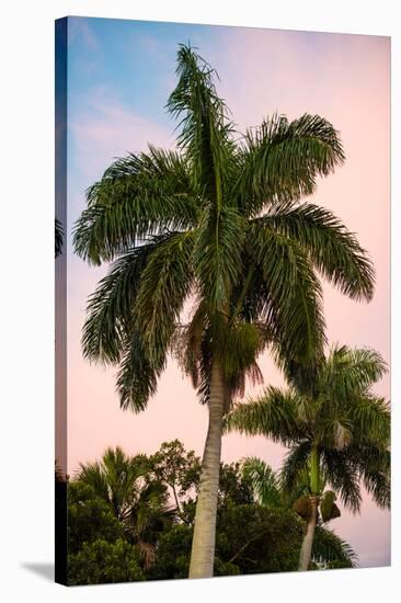 Palm Trees at Sunset - Florida-Philippe Hugonnard-Premier Image Canvas