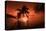 Palm trees at sunset, Moorea, Tahiti, French Polynesia-Panoramic Images-Premier Image Canvas