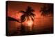 Palm trees at sunset, Moorea, Tahiti, French Polynesia-Panoramic Images-Premier Image Canvas