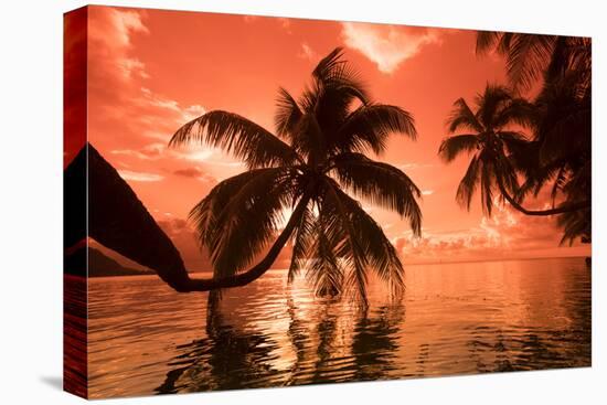 Palm trees at sunset, Moorea, Tahiti, French Polynesia-Panoramic Images-Premier Image Canvas