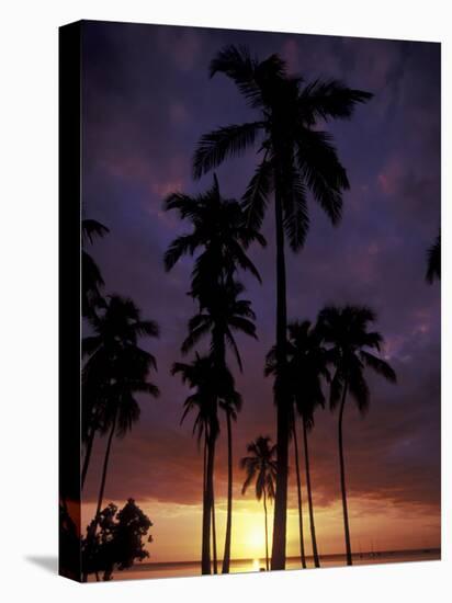 Palm Trees at Sunset, Puerto Rico-Greg Johnston-Premier Image Canvas