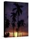 Palm Trees at Sunset, Puerto Rico-Greg Johnston-Premier Image Canvas