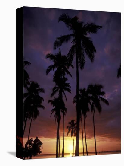 Palm Trees at Sunset, Puerto Rico-Greg Johnston-Premier Image Canvas