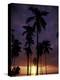 Palm Trees at Sunset, Puerto Rico-Greg Johnston-Premier Image Canvas