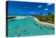 Palm trees at the blue lagoon, Fakarava, Tuamotu archipelago, French Polynesia-Michael Runkel-Premier Image Canvas