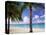 Palm Trees, Beach and Still Turquoise Sea, Seven Mile Beach, Cayman Islands, West Indies-Ruth Tomlinson-Premier Image Canvas