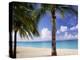 Palm Trees, Beach and Still Turquoise Sea, Seven Mile Beach, Cayman Islands, West Indies-Ruth Tomlinson-Premier Image Canvas