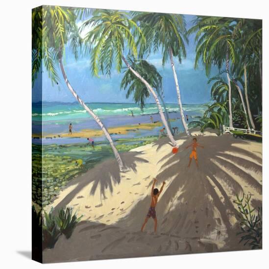 Palm Trees, Clovelly Beach, Barbados, 2013-Andrew Macara-Premier Image Canvas